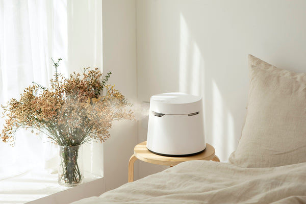 What Does A Humidifier Do?