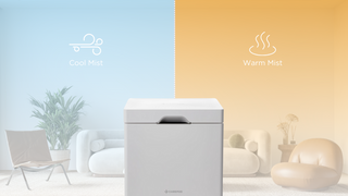 Cool Mist vs. Warm Mist Humidifier: Which One Should You Use?