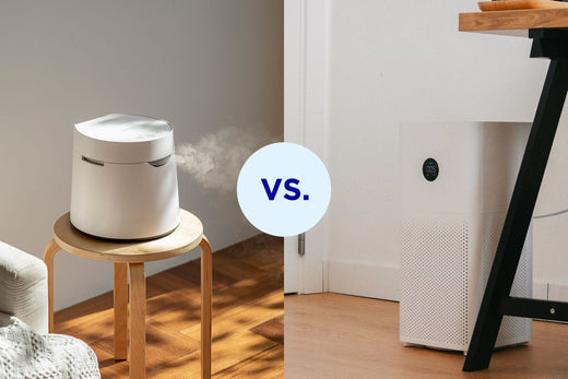 Air Purifiers vs. Humidifiers: What’s the Difference?