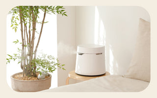 Carepod One next to bedside and big plant 
