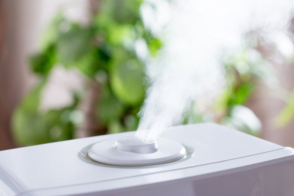 Evaporative Humidifiers: Everything You Need to Know