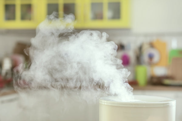 Ultrasonic Humidifiers: Everything You Need to Know