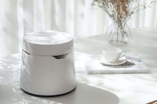 Allergy and Cold Symptoms? A Humidifier Can Help, Studies Show
