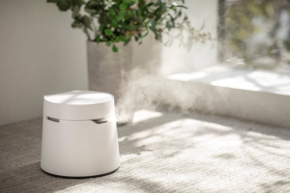 Using Humidifier During Summer at Carolann Ness blog