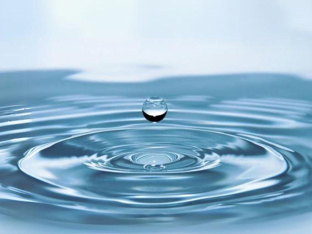 Best water for humidifier