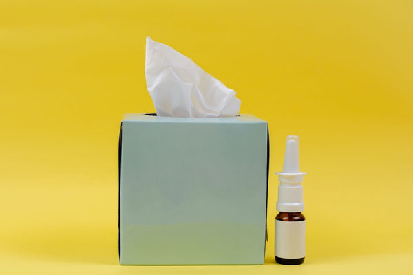 Breathing Easy: 8 Effective Ways To Fight Seasonal Allergies