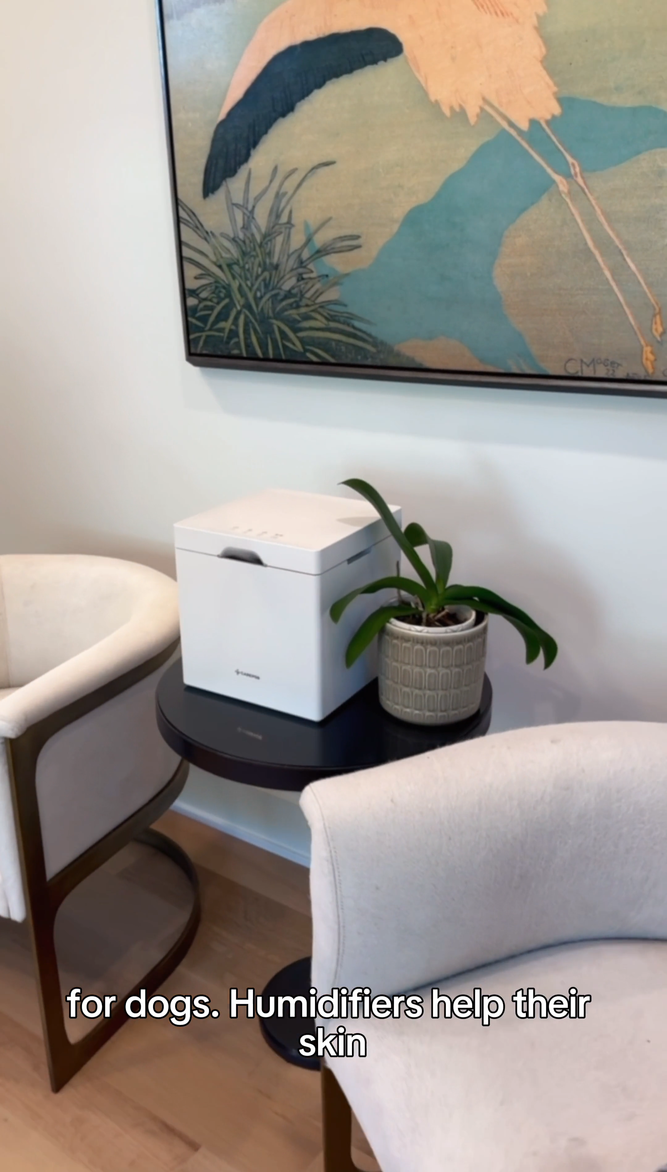Carepod Cube Plus X50V - Sanitizing Warm + Cool Mist Stainless Steel H
